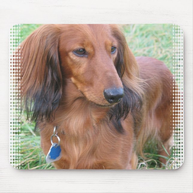 Longhaired Dachshund Mouse Pad (Front)