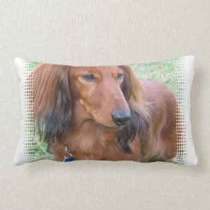 Longhaired Dachshund Pillow