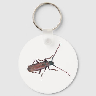 Longhorn Beetle Coordinating Items Key Ring