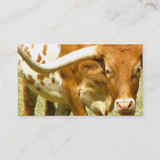 Longhorn Business Card (Front)
