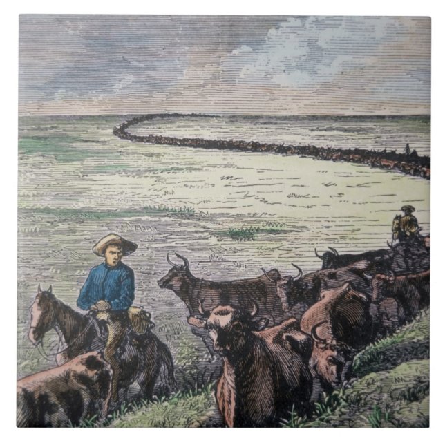 Longhorn cattle drive from Texas to Abilene, Kansa Tile (Front)