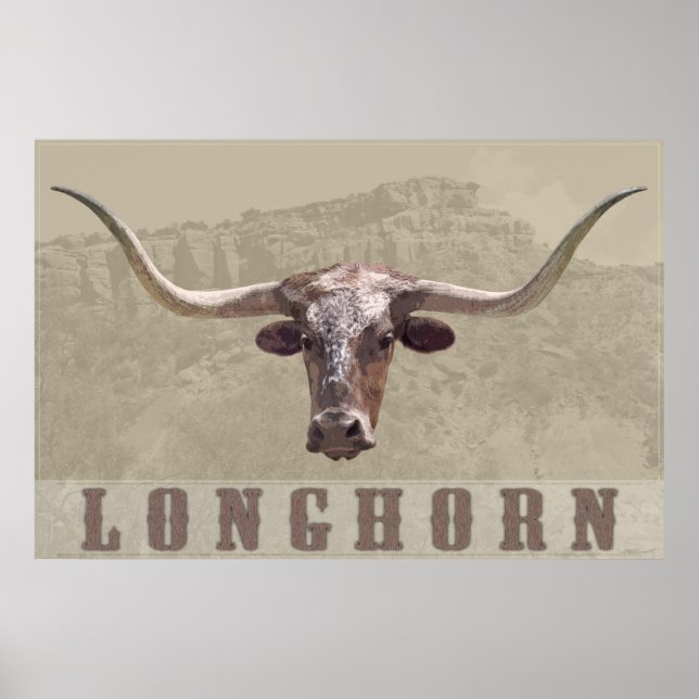 Longhorn Country Poster -60x40 -other sizes also (Front)