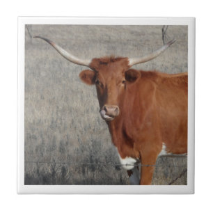 Longhorn Cow Licking Her Nose Ceramic Tile