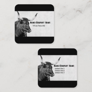 longhorn cow photography black and white custom square business card