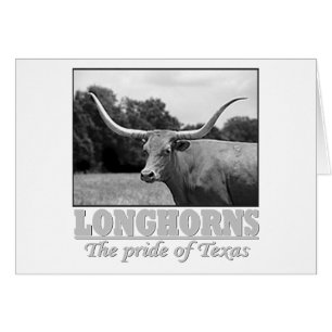 longhorn_pride