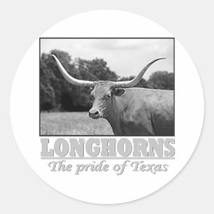 longhorn_pride classic round sticker