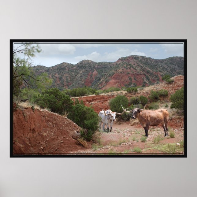 Longhorn Ravine Poster -60x40 (Front)