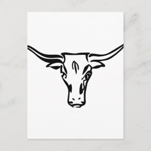 Longhorns Postcard