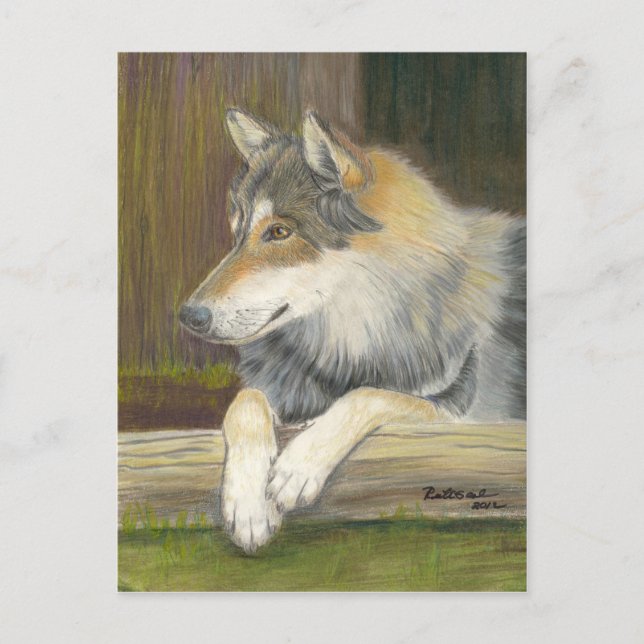 Longing to be Free Postcard (Front)