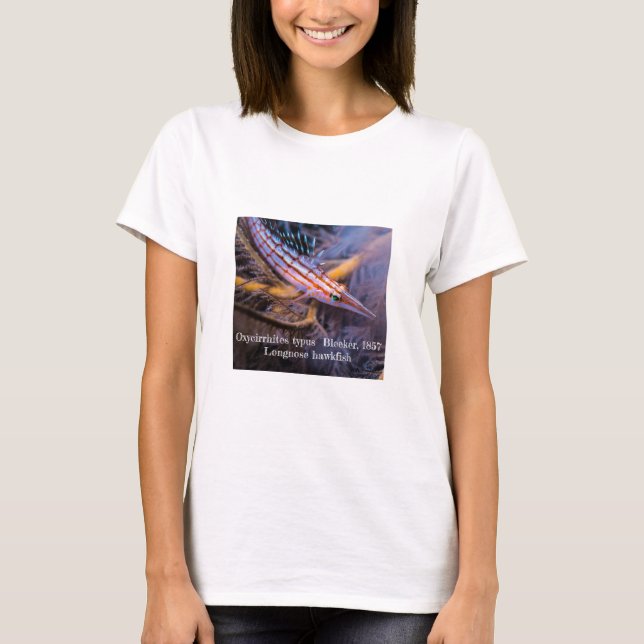 Longnose hawkfihs T-Shirt (Front)