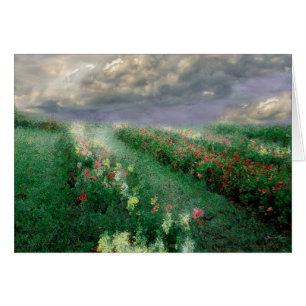 Longview Flowers Mindscape