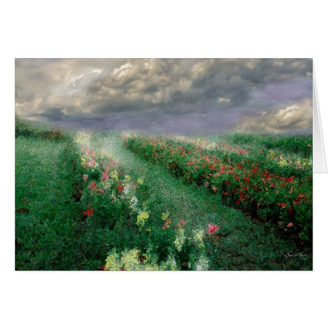 Longview Flowers Mindscape (Front Horizontal)