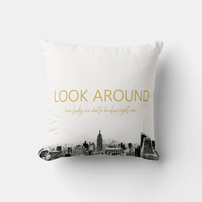 Look Around - Hamilton Cushion (Front)