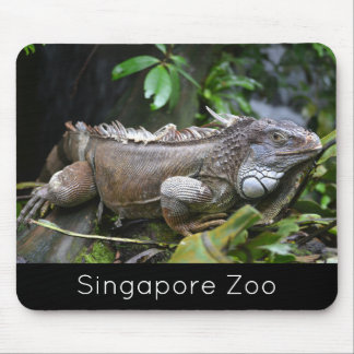 Look at Me Lizard Singapore Zoo Mouse Pad