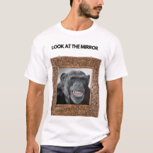 Look At Mirror Funny Meme T-Shirt