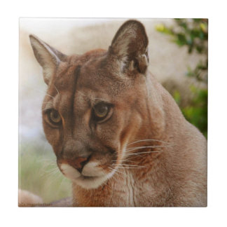 Look At That Face Tile