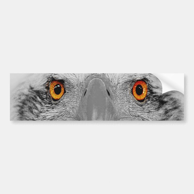 Look into my eyes bumper sticker (Front)