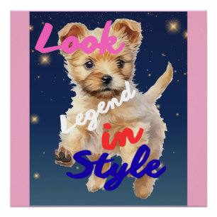 Look,Legend In Style Poster