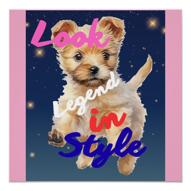 Look,Legend In Style  Poster (Front)