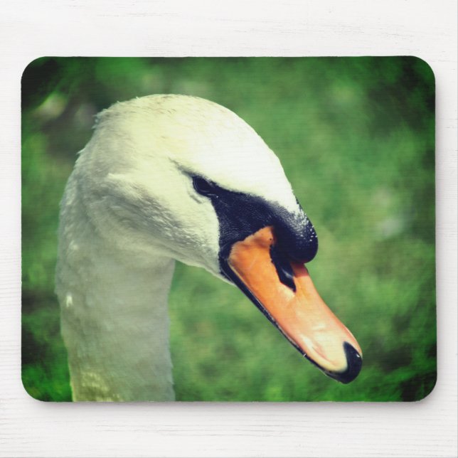 Look Of Kings Swan Nature  Mouse Pad (Front)