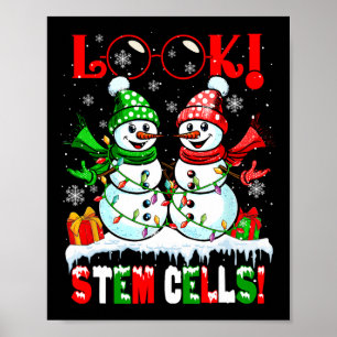 Look! Stem Cells Xmas Snow Couple Snowmen Science  Poster