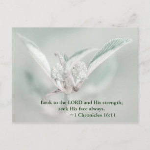Look to the LORD and his strength; seek his face a Postcard