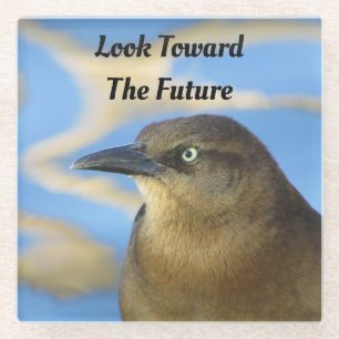 Look Towards Future Blackbird Stare Graduation Glass Coaster