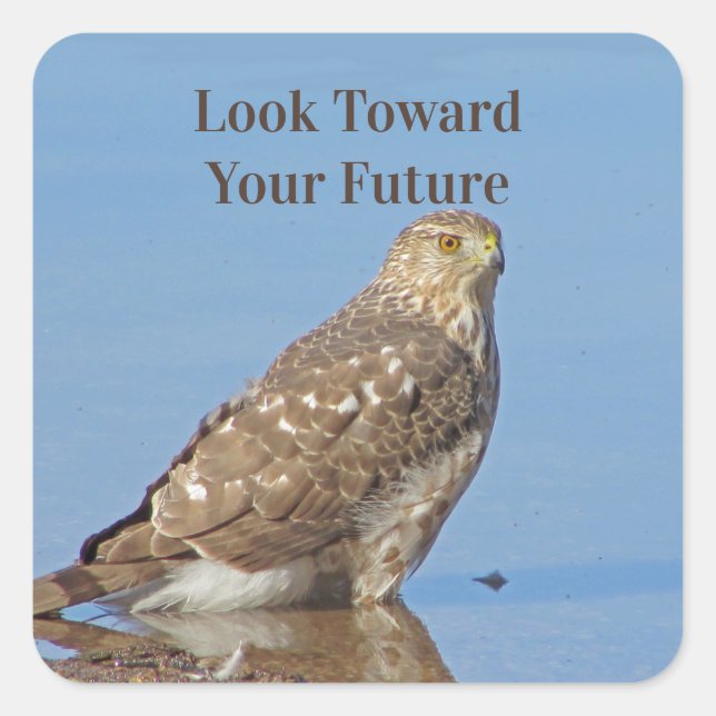 Look Towards Future Wild Raptor Bird Hawk Graduate Square Sticker (Front)