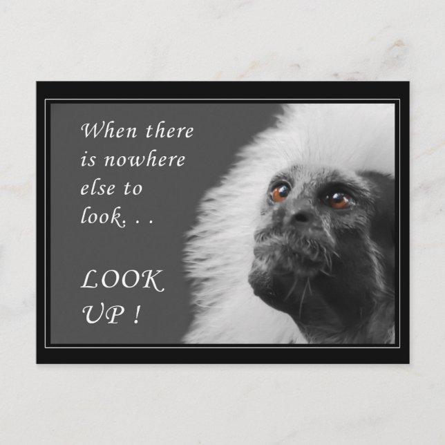 Look up postcard (Front)