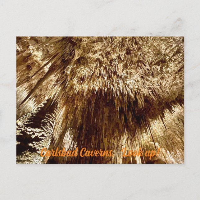 look up  postcard (Front)