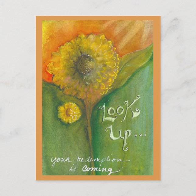 Look Up Postcard (Front)