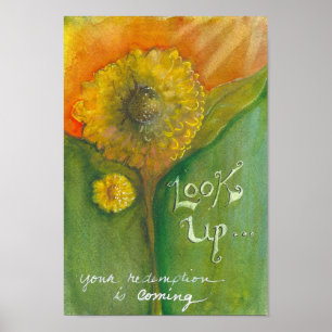 Look Up! Poster