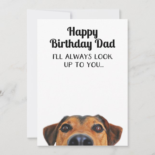 Look Up To You Funny Birthday Dad Card (Front)