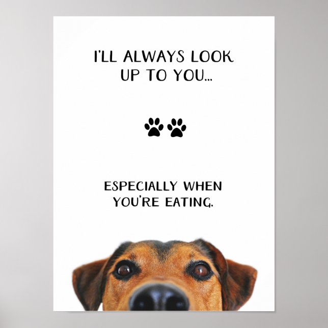 Look Up To You Funny Dog Message Poster (Front)