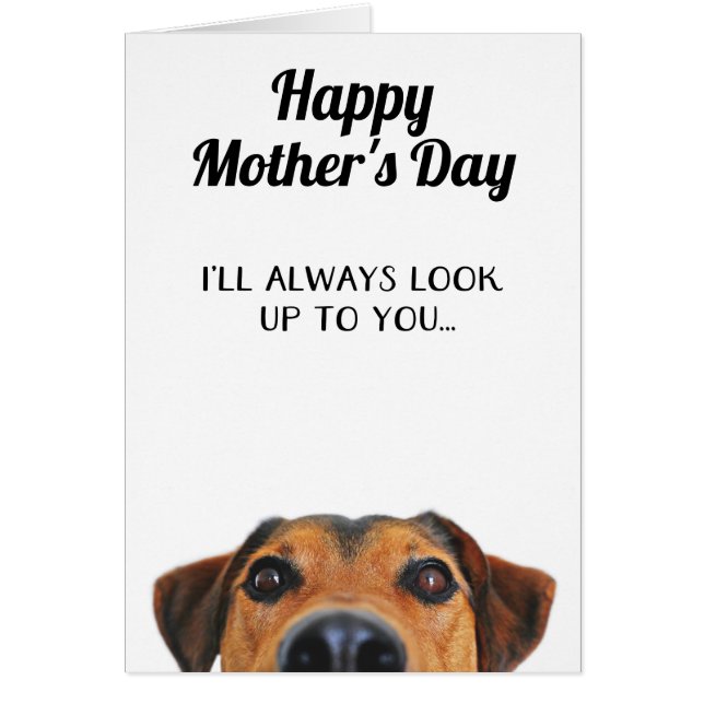 Look Up To You Funny Mother's Day Card From Dog (Front)