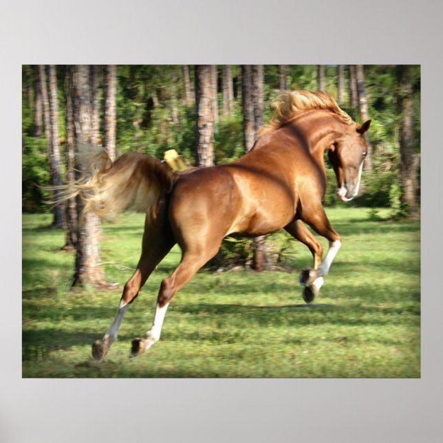 Lookie Lou Having Fun Poster (Front)