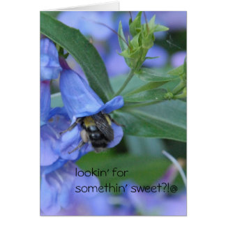 lookin' for somethin' sweet??