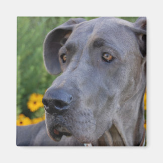 Lookin' Pretty Magnet