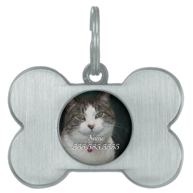 Looking at You Looking at Me Pet Tag (Front)