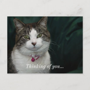 Looking at You Looking at Me Thinking Of You Postcard