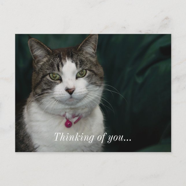 Looking at You Looking at Me Thinking Of You Postcard (Front)