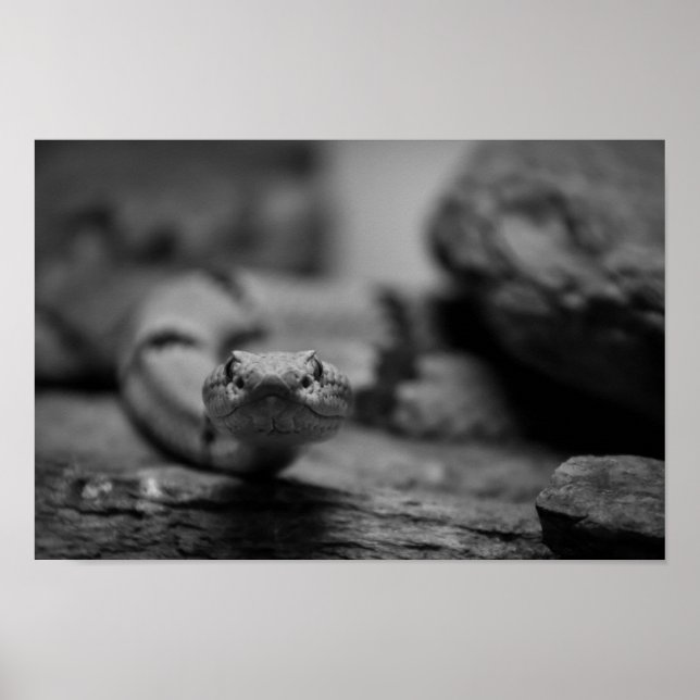 looking at you poster (Front)