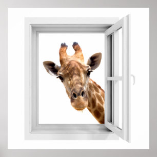 LOOKING AT YOU POSTER