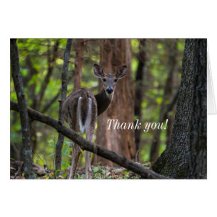 Looking Back Painterly Thank You Card