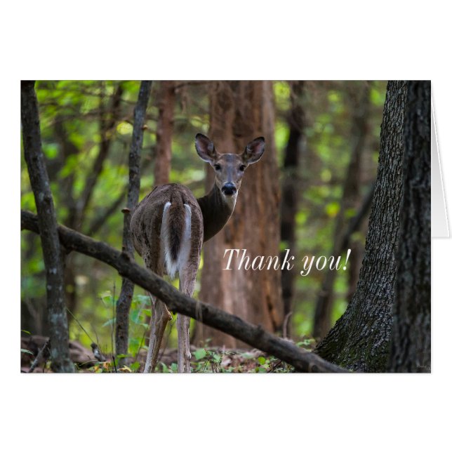 Looking Back Painterly Thank You Card (Front Horizontal)