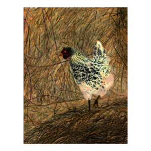 "Looking" - Digitally Transformed Chicken on Hay Photo Print