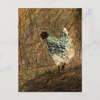 "Looking" - Digitally Transformed Chicken on Hay   Postcard