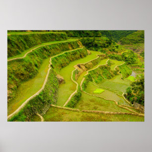 Looking Down On Rice Fields Poster