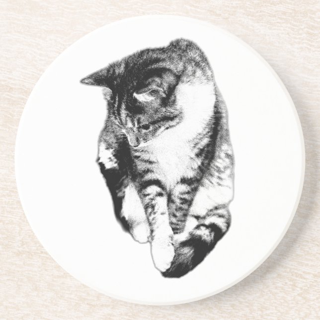 Looking Down Tabby Cat Monochrome Coaster (Front)