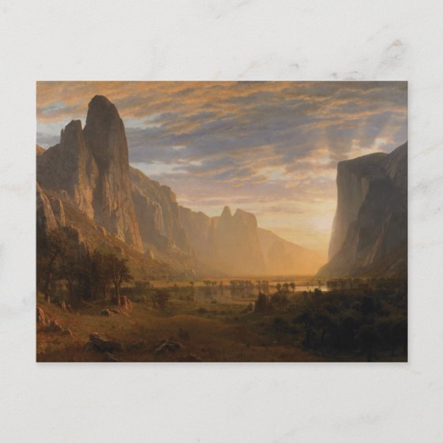 Looking Down Yosemite Valley Postcard (Front)